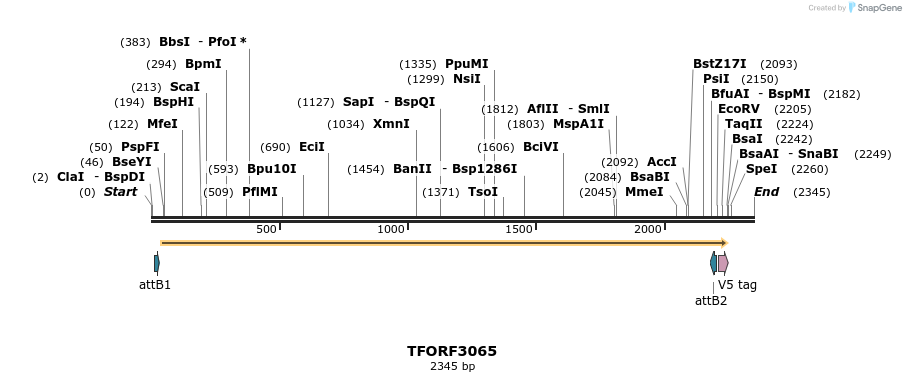 285738_map