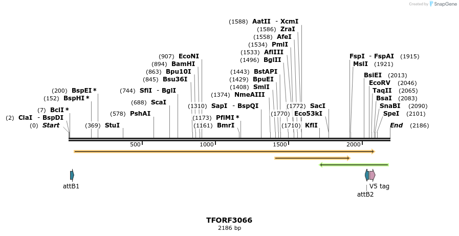 285741_map