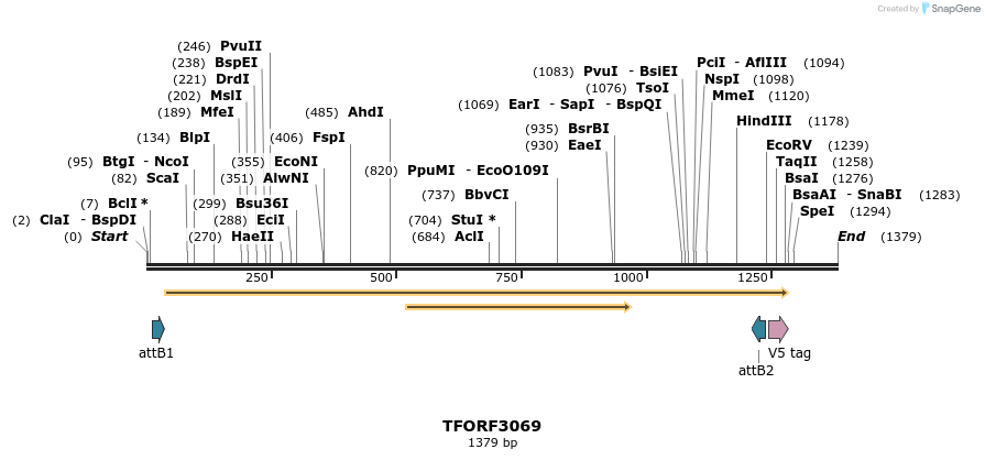 285750_map
