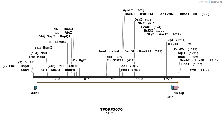 285753_map
