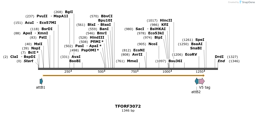 285759_map