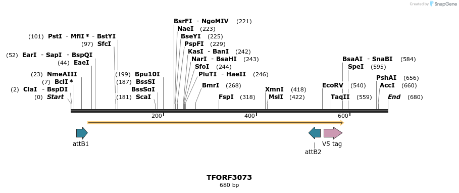 285762_map