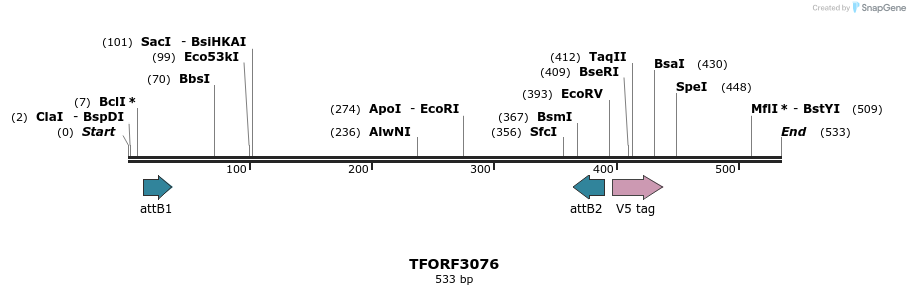 285771_map