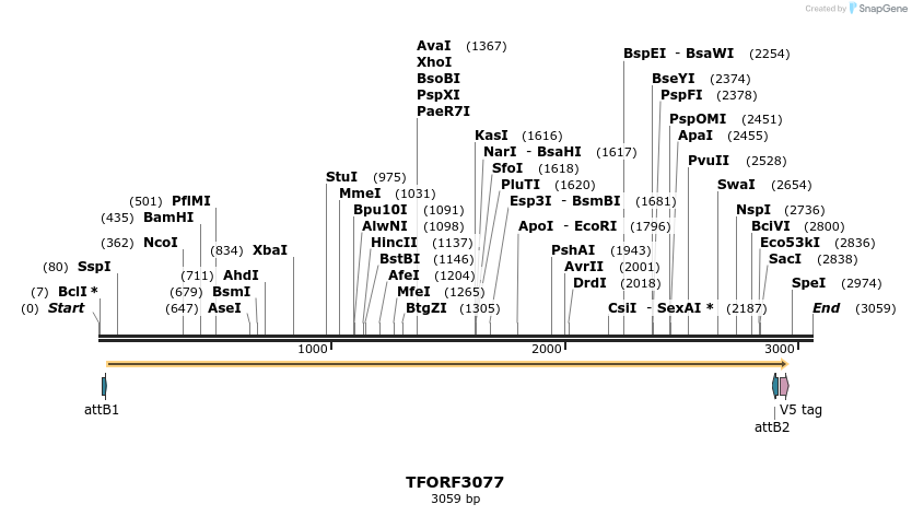 285774_map
