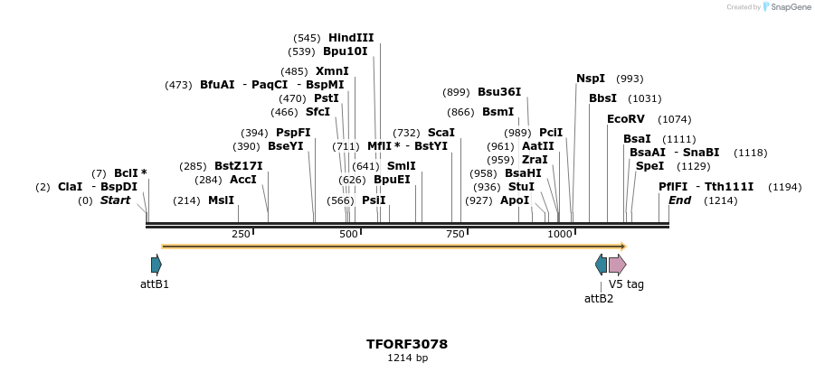 285777_map