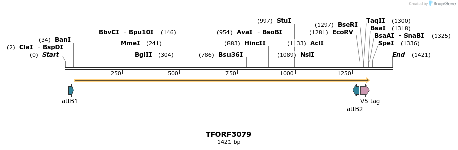285780_map