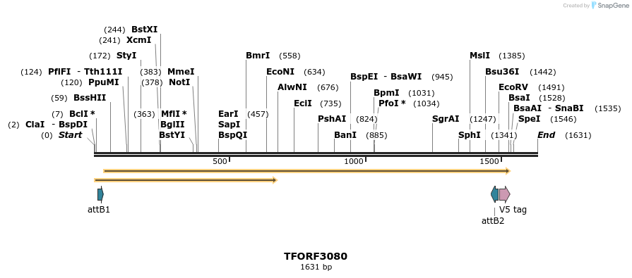 285783_map