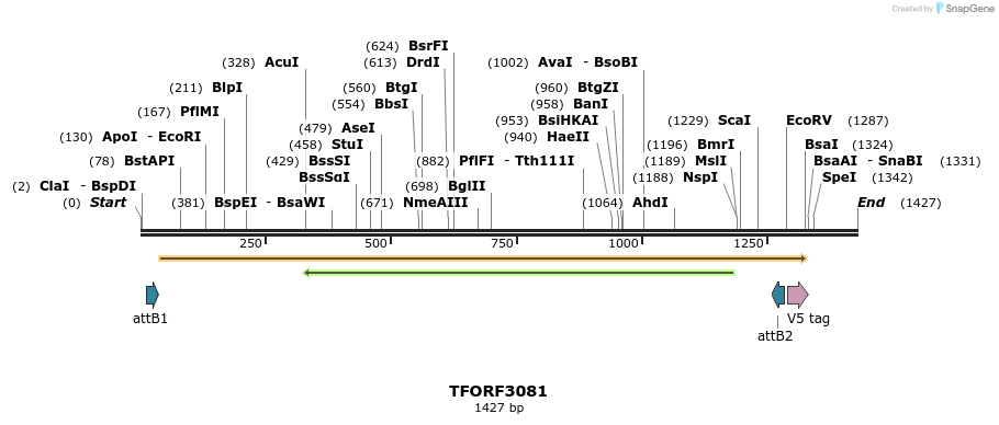 285786_map
