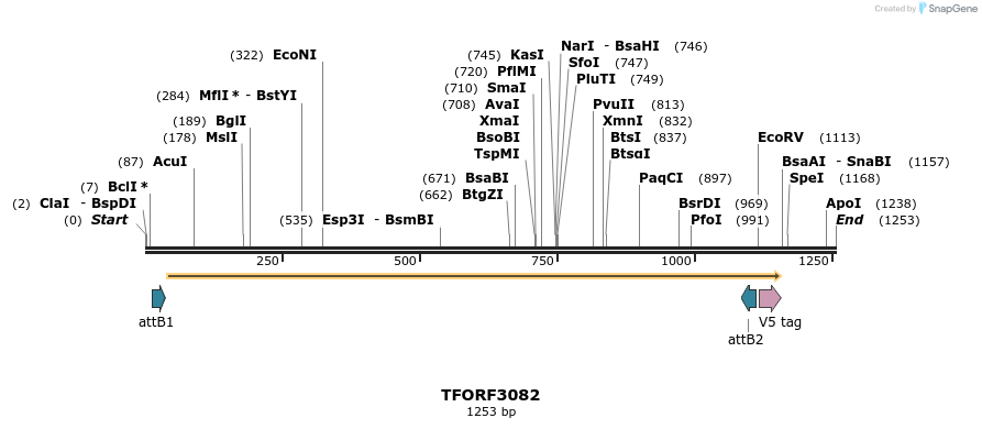 285789_map