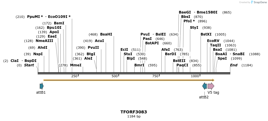 285792_map