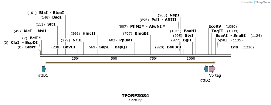 285795_map