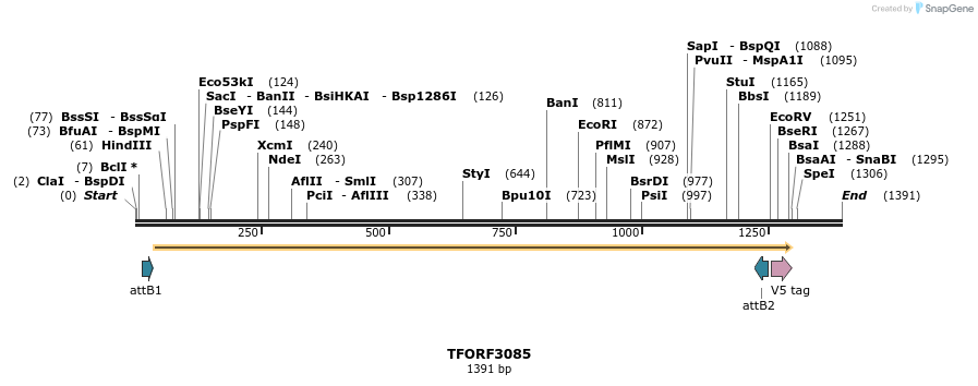 285798_map