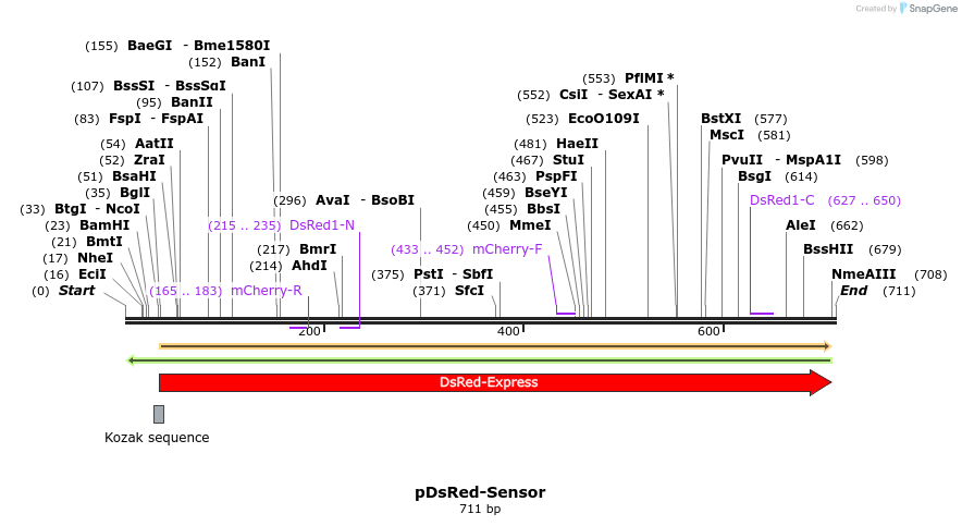 28580_map