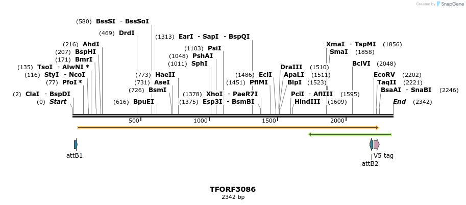 285801_map