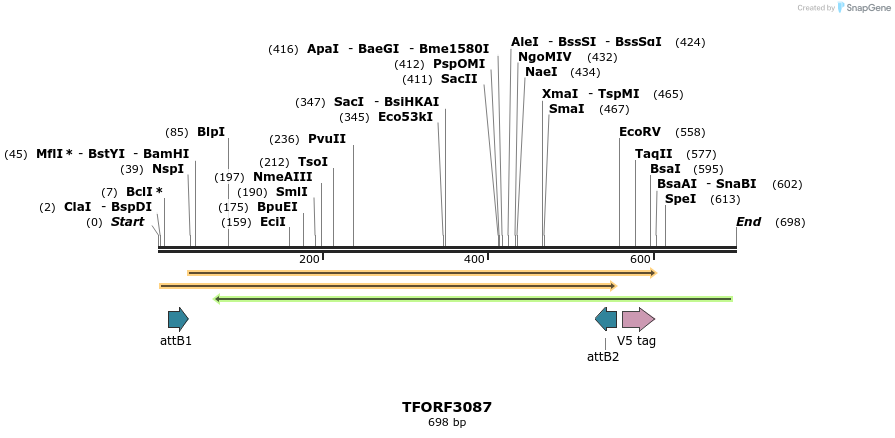 285804_map