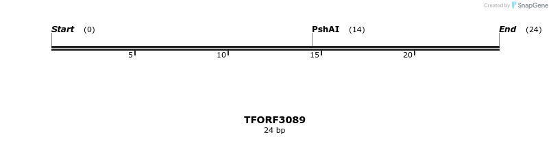 285811_map