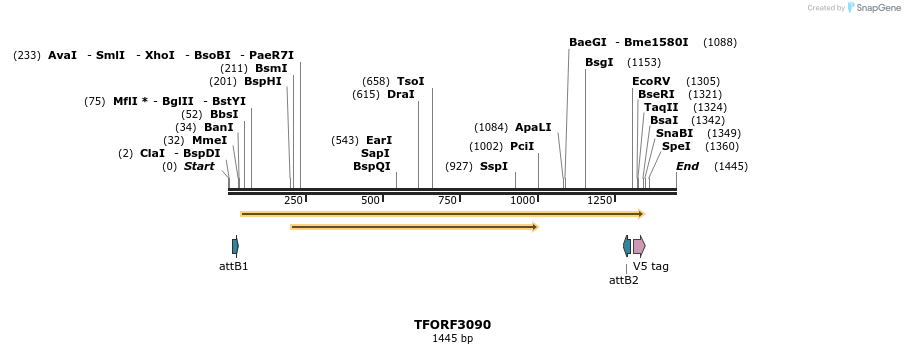 285813_map