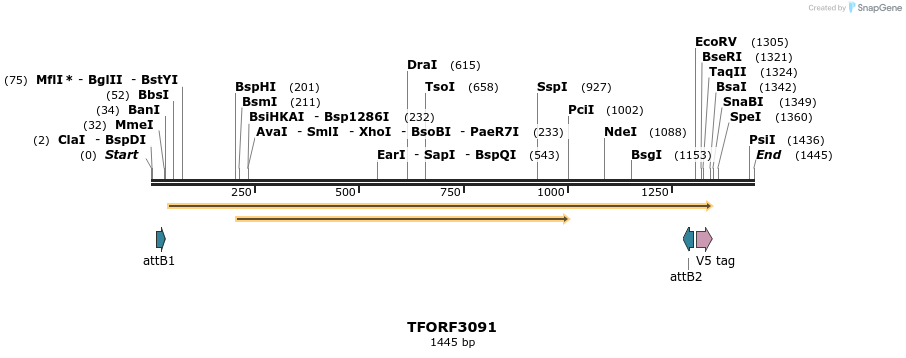 285816_map
