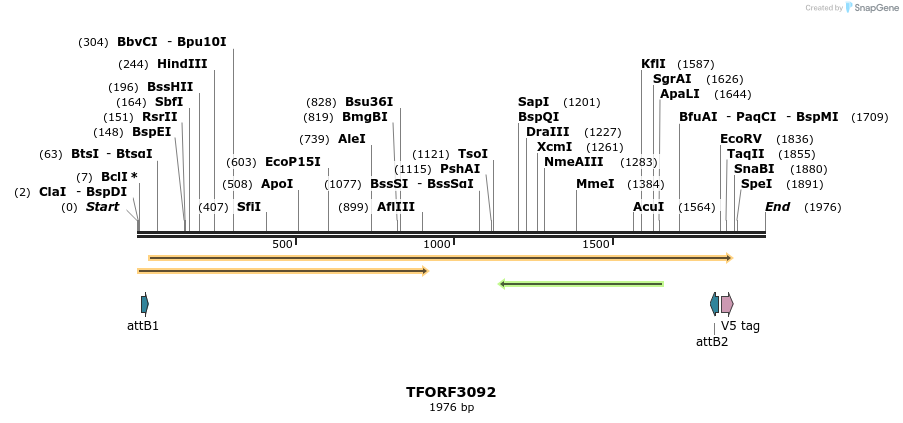 285819_map