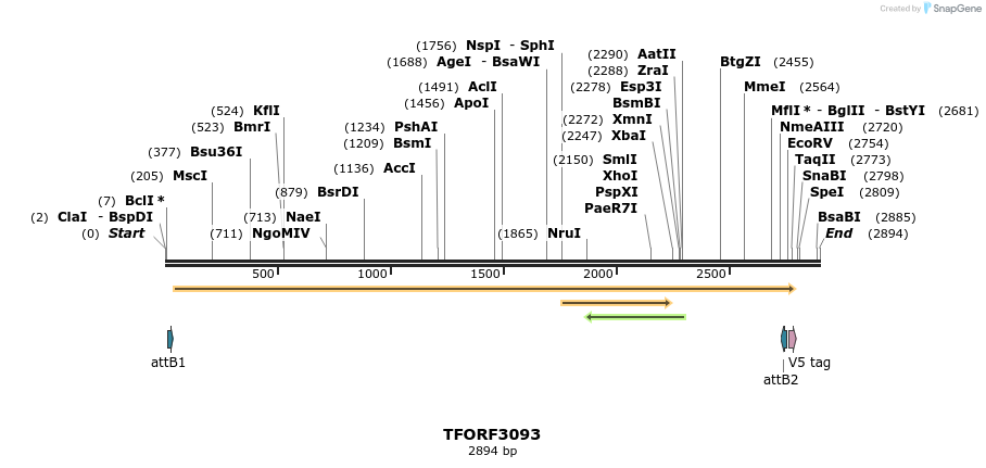 285822_map