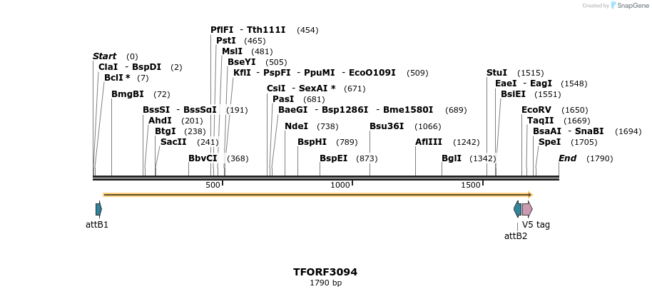 285825_map