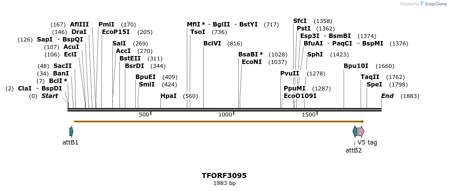 285828_map