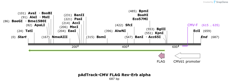 28583_map