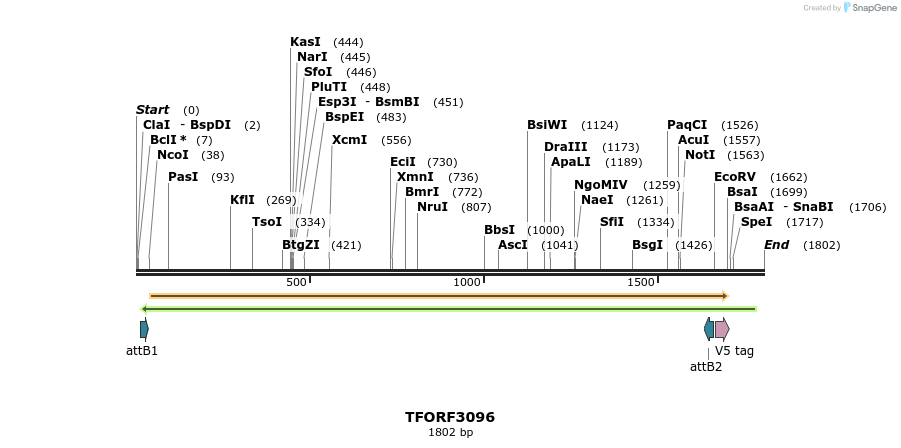 285831_map