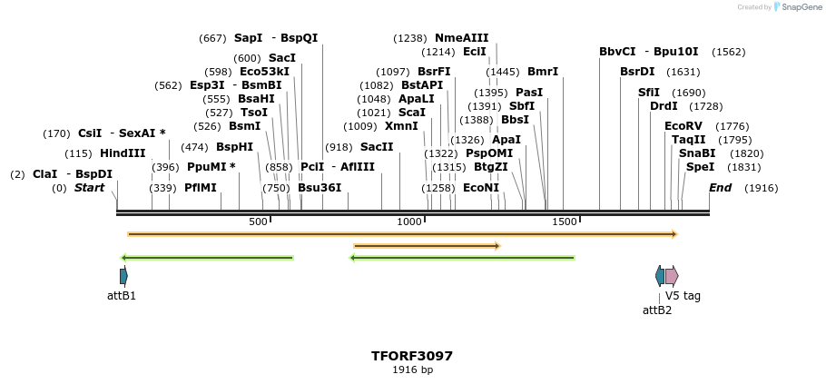 285834_map
