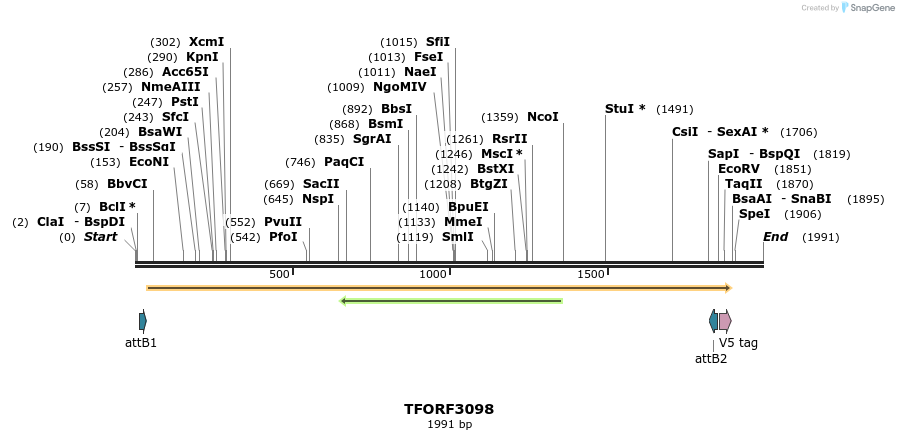 285837_map