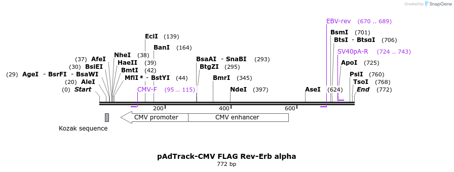 28584_map
