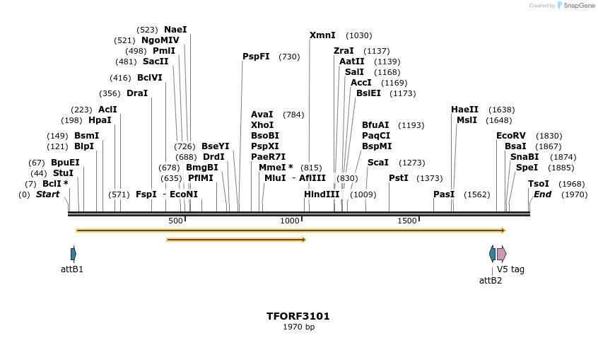 285846_map