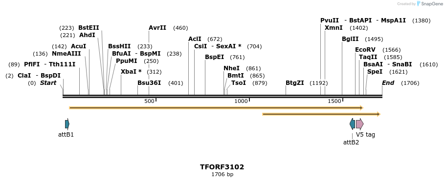 285849_map