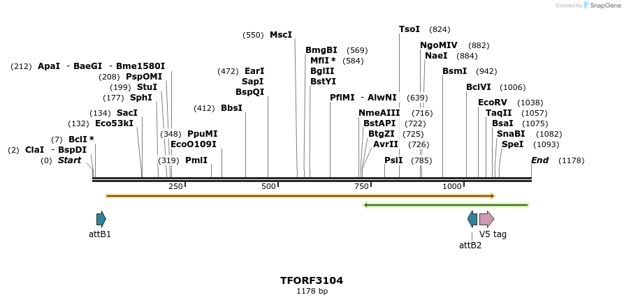 285855_map