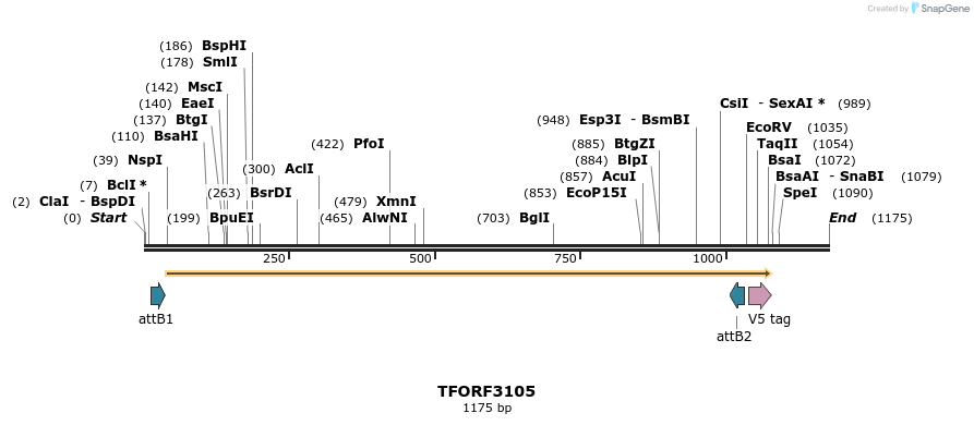 285858_map