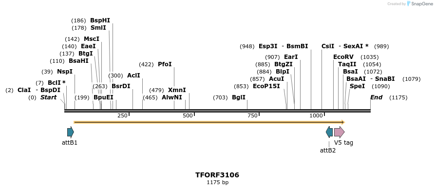 285861_map