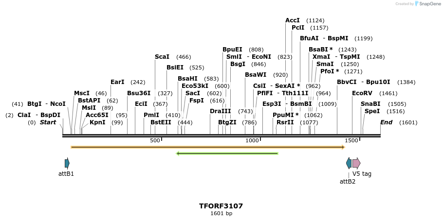 285864_map