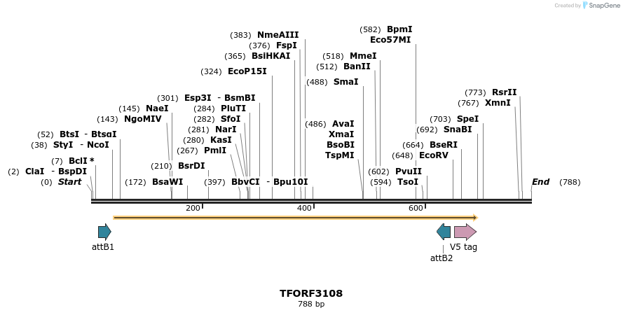 285867_map