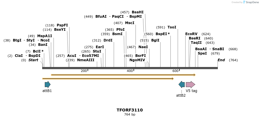 285873_map