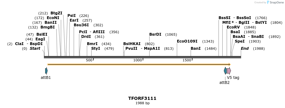 285876_map