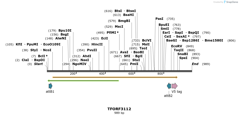285879_map