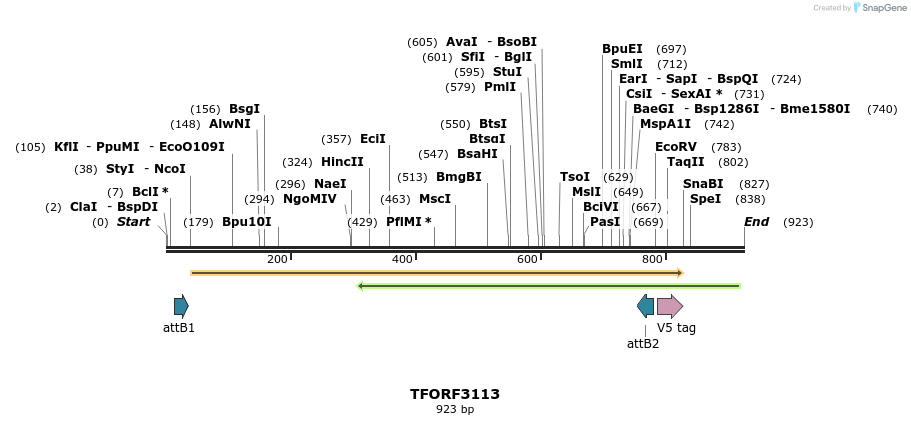 285882_map