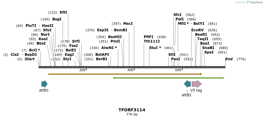 285885_map