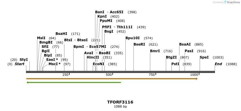 285891_map
