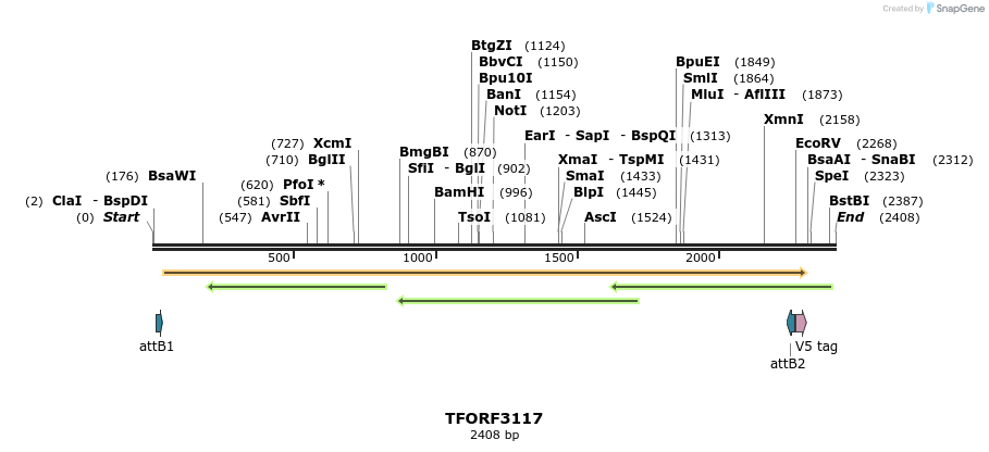 285894_map