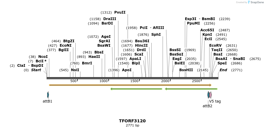 285903_map