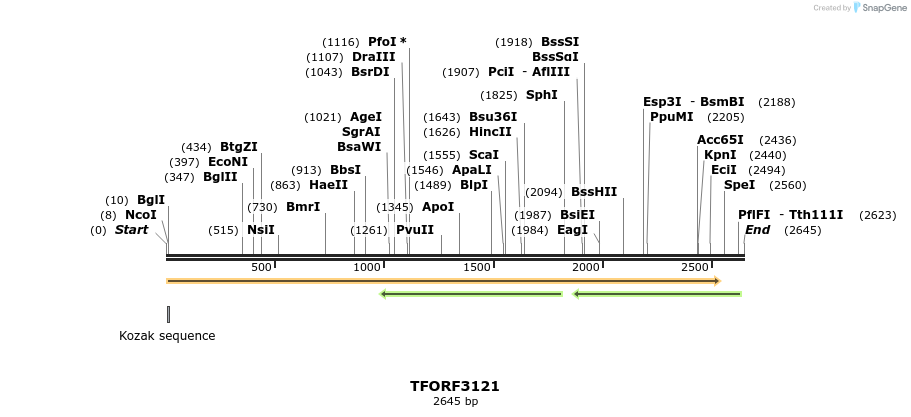285906_map