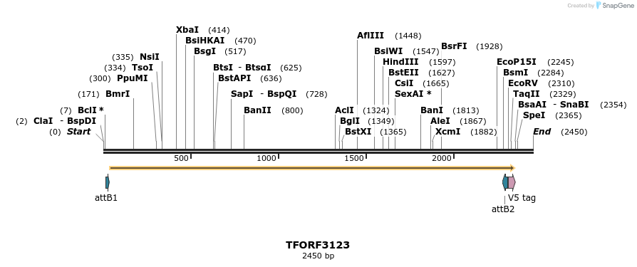 285912_map