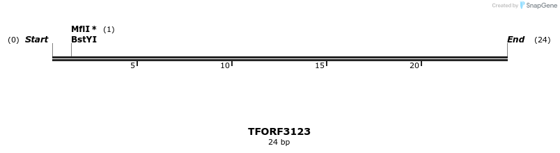 285913_map