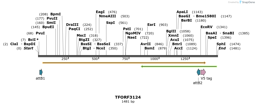 285915_map